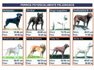 perros peligrosos
