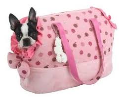 accesorios para perros 3