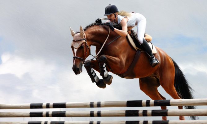 razas de caballos de salto